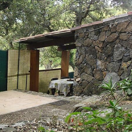 Maisonnette Du Berger De Croccano ซาร์แตน ภายนอก รูปภาพ
